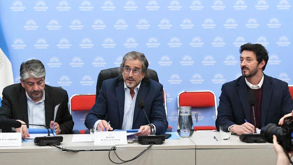 200626_benegas_lynch_yeza_super_rigi_diputados_cedoc_g