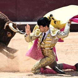 El torero francés Nino Julian le da un pase a un toro de Robert Marge durante una corrida de toros en Istres. Nino Julian recibió su "alternativa" —la ceremonia por la cual un "novillero" (torero novato) se convierte en matador senior— para convertirse en el 77.º matador francés. | Foto:GABRIEL BOUYS / AFP