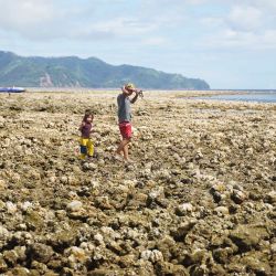 Esta fotografía muestra a personas caminando sobre corales expuestos tras el levantamiento del lecho marino provocado por un terremoto en el Santuario Marino de Pangyan, en Glan, Sarangani. Un potente terremoto que causó la muerte de al menos 61 personas en Filipinas elevó el lecho marino hasta dos metros (6,6 pies), dejando al descubierto los corales y dañando la vida marina, según informó el Departamento de Medio Ambiente. | Foto:Ferdinandh Cabrera / AFP
