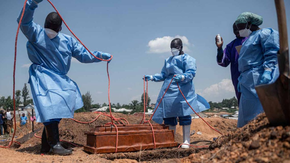 Revelan que virus representan la mayor amenaza pandémica para la humanidad