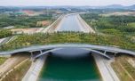 Así es el superpuente exclusivo para animales que se está construyendo en China