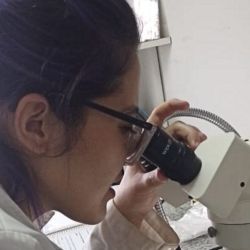 Este descubrimiento tiene una importancia mucho mayor de la que parece. Gracias a la identificación de estas estructuras, los científicos podrán determinar si especies nativas están incorporando al gobio invasor dentro de su dieta. 