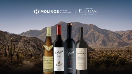 Molinos Río de la Plata Bodega Etchart