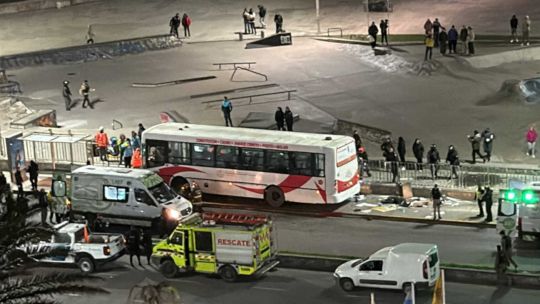 Declaró el chofer del colectivo que atropelló y mató a una joven en Mar del Plata: “No pude hacer nada”