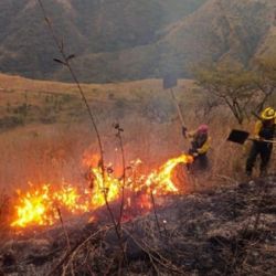 El fuego consumió hasta el momento más de 200 hectáreas de bosque nativo.