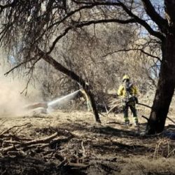 El daño ambiental es cuantioso. 