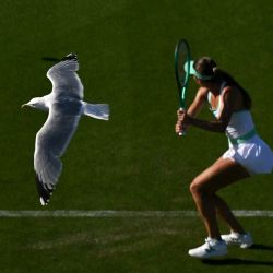 Una gaviota sobrevuela mientras la tenista estadounidense McCartney Kessler devuelve la pelota a la australiana Daria Kasatkina durante su partido de dieciseisavos de final de individuales femeninos en el primer día del Lexus Eastbourne Open en Devonshire Park, Eastbourne, en la costa sur de Inglaterra. | Foto:Glyn Kirk / AFP