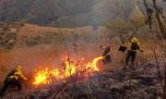 Refuerzan el combate aéreo y terrestre para frenar los incendios en Cafayate