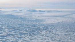 Glaciar David 24062026