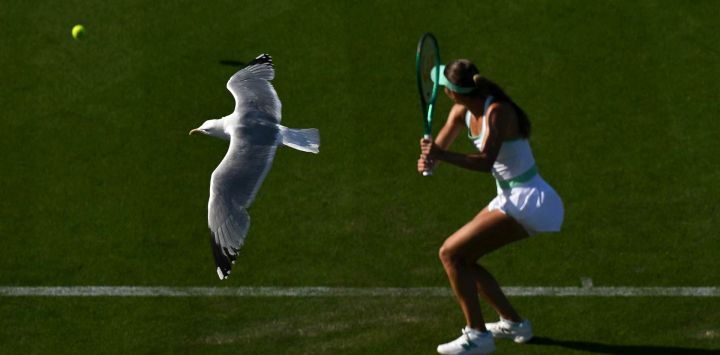 Una gaviota sobrevuela mientras la tenista estadounidense McCartney Kessler devuelve la pelota a la australiana Daria Kasatkina durante su partido de dieciseisavos de final de individuales femeninos en el primer día del Lexus Eastbourne Open en Devonshire Park, Eastbourne, en la costa sur de Inglaterra.