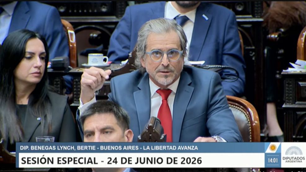 Sesión especial en Diputados 24/06