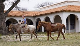 2606_ESTANCIA