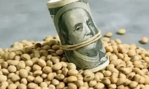 Dólar agro
