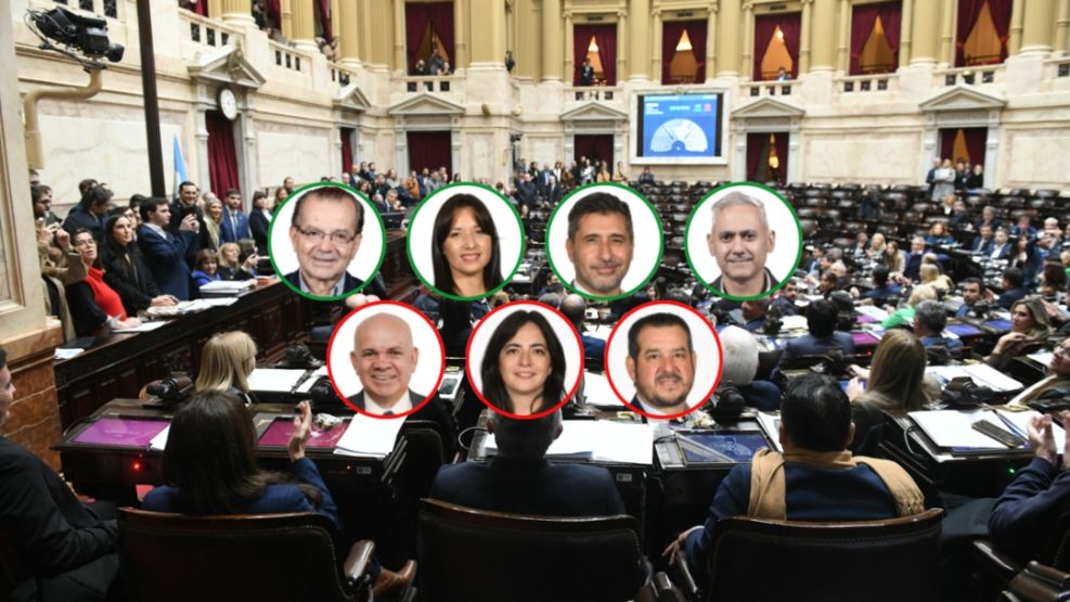 Super RIGI: así votaron los diputados chaqueños