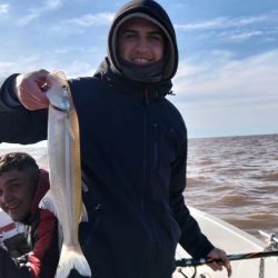 Las lagunas siguen brindado buen pique de pejerreyes a pesar del frío, aunque algunas registran mermas en la cantidad de capturas. 