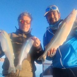 Las lagunas siguen brindado buen pique de pejerreyes a pesar del frío, aunque algunas registran mermas en la cantidad de capturas. 