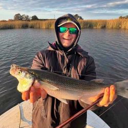 Las lagunas siguen brindado buen pique de pejerreyes a pesar del frío, aunque algunas registran mermas en la cantidad de capturas. 
