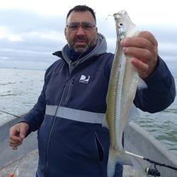 Las lagunas siguen brindado buen pique de pejerreyes a pesar del frío, aunque algunas registran mermas en la cantidad de capturas. 