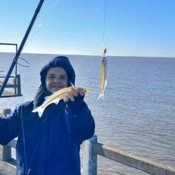 Las lagunas siguen brindado buen pique de pejerreyes a pesar del frío, aunque algunas registran mermas en la cantidad de capturas. 