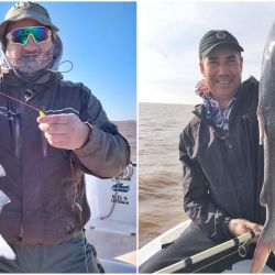 El estuario transita el auge del pejerrey pero nos suma otras alternativas, como la pesca de los mimosos, monchuelos o bagres de mar, una especie que viene desde el mar para desovar.