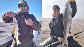 El estuario transita el auge del pejerrey pero nos suma otras alternativas, como la pesca de los mimosos, monchuelos o bagres de mar, una especie que viene desde el mar para desovar.