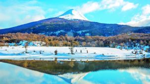 2606_NIEVE