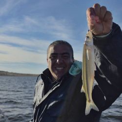 Así, la experiencia volvió a demostrar que no siempre es conveniente recorrer el lago en busca de un cardumen activo. Muchas veces, cuando aparecen algunos piques aislados, la mejor estrategia consiste en permanecer en el sector y esperar el paso de los pejerreyes.