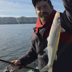 Así, la experiencia volvió a demostrar que no siempre es conveniente recorrer el lago en busca de un cardumen activo. Muchas veces, cuando aparecen algunos piques aislados, la mejor estrategia consiste en permanecer en el sector y esperar el paso de los pejerreyes.