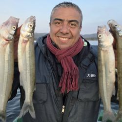 Así, la experiencia volvió a demostrar que no siempre es conveniente recorrer el lago en busca de un cardumen activo. Muchas veces, cuando aparecen algunos piques aislados, la mejor estrategia consiste en permanecer en el sector y esperar el paso de los pejerreyes.