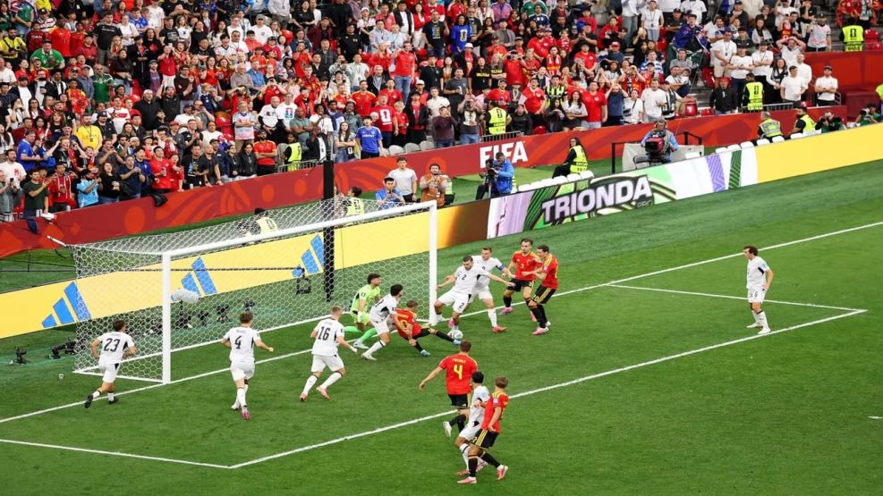Bélgica vs Nueva Zelanda