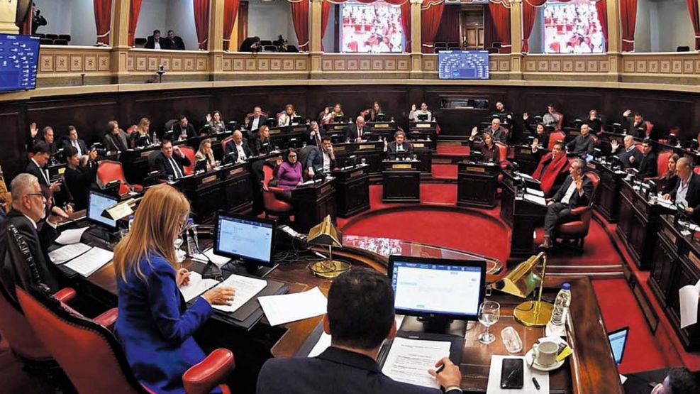 280626_senado_buenos_aires_prensasenadoba_g