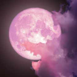 El nombre de Superluna de Fresa fue puesto por el astrónomo Richard Nolle en el años 1979