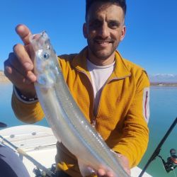 Julio y agosto prometen seguir brindando grandes emociones a los pescadores de pejerrey. Ya la especie se aclimatará a los fríos, y los rindes que, en este momento son buenos, serán aún más interesantes.