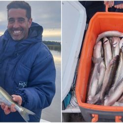 Julio y agosto prometen seguir brindando grandes emociones a los pescadores de pejerrey. Ya la especie se aclimatará a los fríos, y los rindes que, en este momento son buenos, serán aún más interesantes.