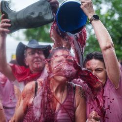 Un participante es rociado con vino tinto durante la "Batalla del Vino" en Haro, en la región vinícola de La Rioja. Cada año, miles de lugareños y turistas suben a una montaña en la región vinícola de La Rioja, al norte de España, para celebrar el día de San Pedro rociándose unos a otros con vino tinto usando pistolas de agua, dispositivos de pulverización montados en la espalda, cubos que se vierten al azar sobre las cabezas y en cualquier otro recipiente disponible. | Foto:Cesar Manso / AFP