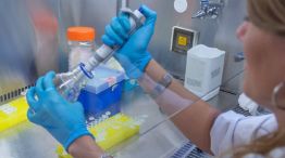 La UNC  anunció una inversión para fortalecer la ciencia y la tecnología