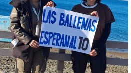 Madryn
