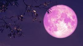Luna de Fresa 2026: ¿cuándo, a qué hora y desde dónde ver este impactante show astral en la Argentina?