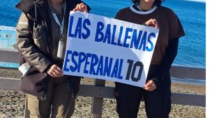 Madryn