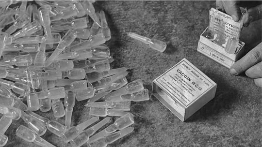 El día que nació la vacuna BCG: un siglo de resistencia global contra la tuberculosis