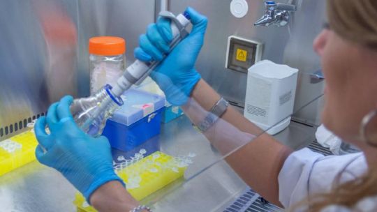 “El peor momento de la historia”: la UNC destina más de $460 millones para sostener investigaciones