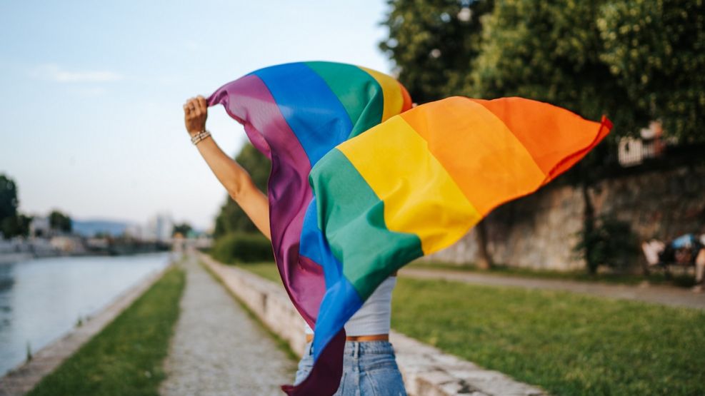 IPSOS Pride 2026
