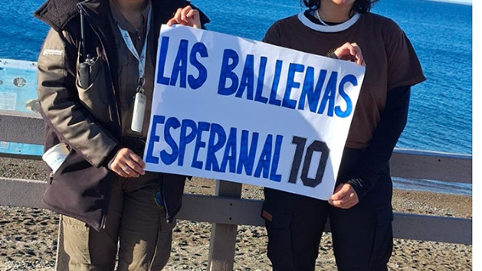 Madryn