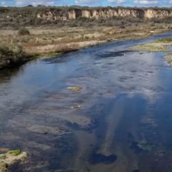 Las investigaciones abarcan localidades como Villa María, Río Tercero, Almafuerte, Pampayasta y Villa Ascasubi, donde se analiza la calidad del agua y el estado de las poblaciones de peces.