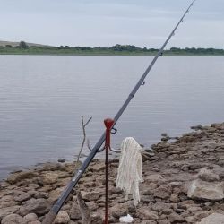 Los pescadores deportivos siguen de cerca el tratamiento del proyecto, con la expectativa de que, después de varios años de restricciones, el Dique Paso de las Piedras pueda ampliar sus espacios habilitados y convertirse en un destino con más zonas de pesca. 