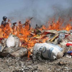 Imagen de narcóticos ilícitos siendo incinerados, en Saada, Yemen. Las autoridades hutíes destruyeron toneladas de narcóticos incautados. | Foto:Xinhua/Mohammed Mohammed