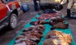 Detienen a 3 cazadores furtivos con una tonelada de carne faenada y un arsenal de armas