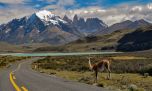 Qué hacer en Ushuaia: excursiones para descubrir el fin del mundo