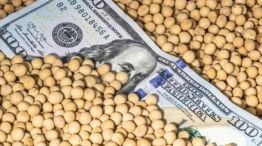 Dólar agro
