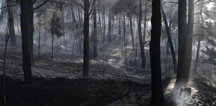 Esta fotografía muestra el humo que se eleva de un incendio forestal en Liti, un pueblo al norte de Tesalónica. Un hombre fue hallado muerto en el voraz incendio forestal que se desató a 15 km (9 millas) de Tesalónica, en el norte de Grecia, mientras que una mujer resultó herida, según informó el servicio de bomberos.